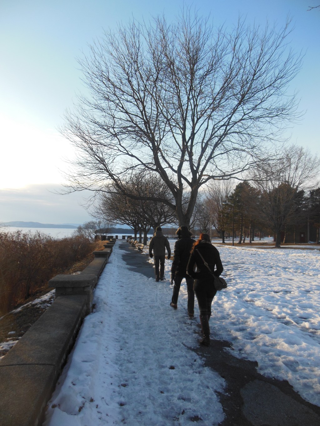 2014 wrap up and looking forward to&nbsp;2015!